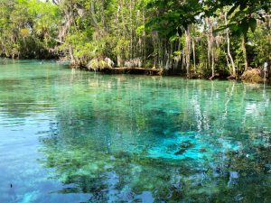 Crystal River
