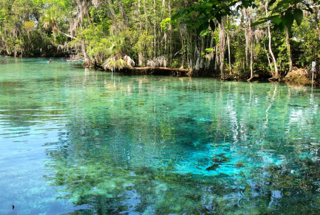 Crystal River